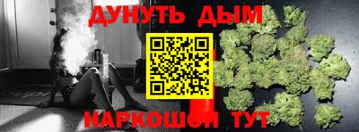 mdpv Заводоуковск