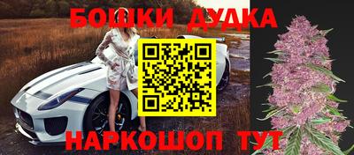 mdpv Заводоуковск
