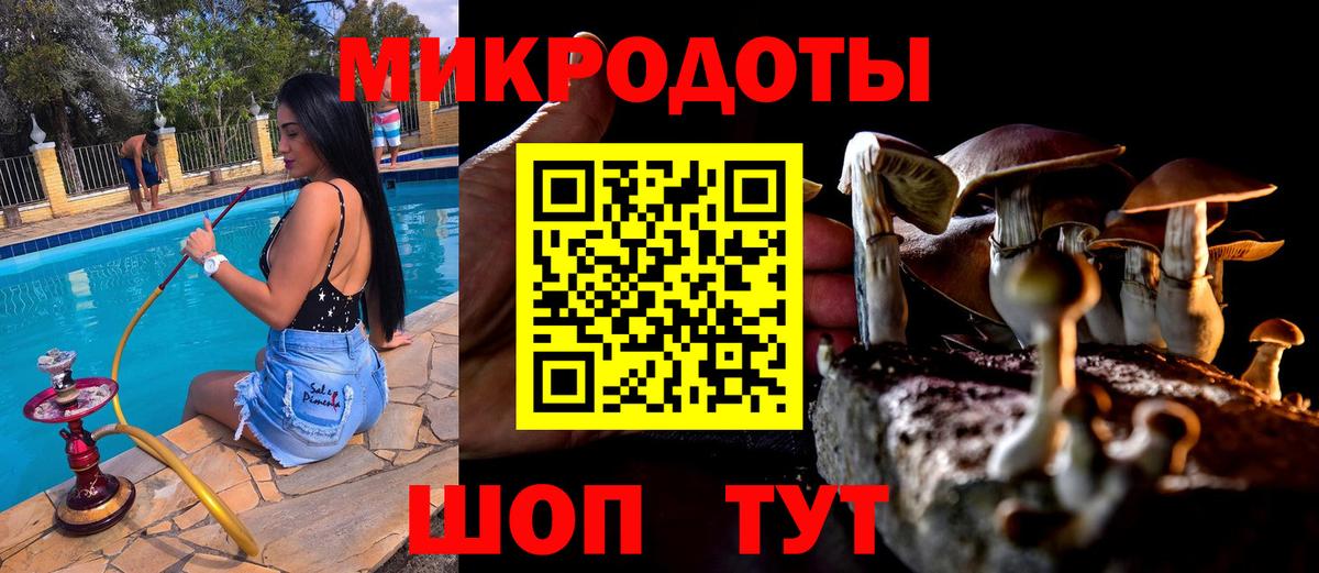 Пушкино  Псилоцибиновые грибы Cubensis  Галлюциногенные грибы ЛСД  Вход с VPN 